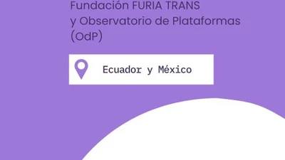 Video en Redes Sociales proyecto furIA featured image